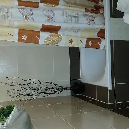 Apartment Apartments Despina *