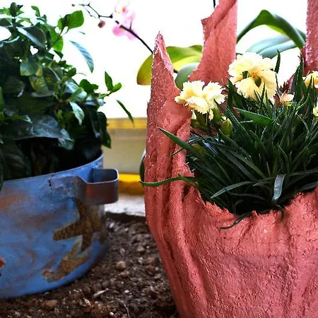 Lejlighed Despina Sinarádes