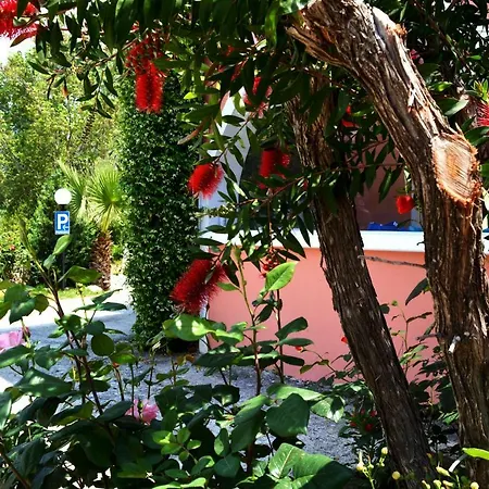 Apartments Despina Апартаменты *