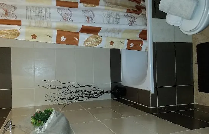 アパート Despina *