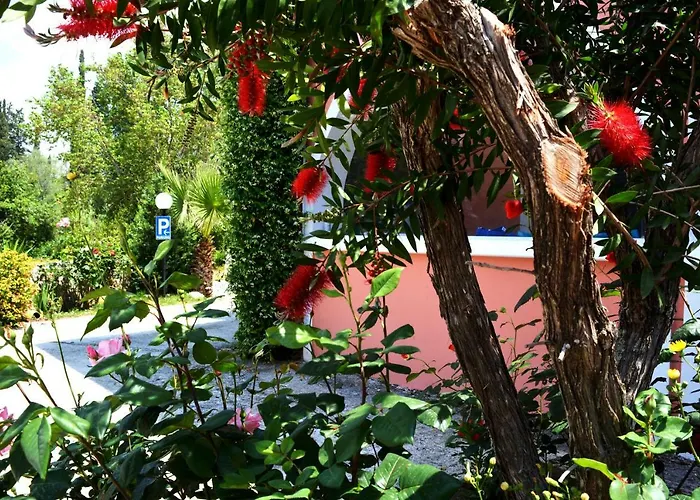 Despina アパート *